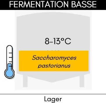principe de la fermentation basse